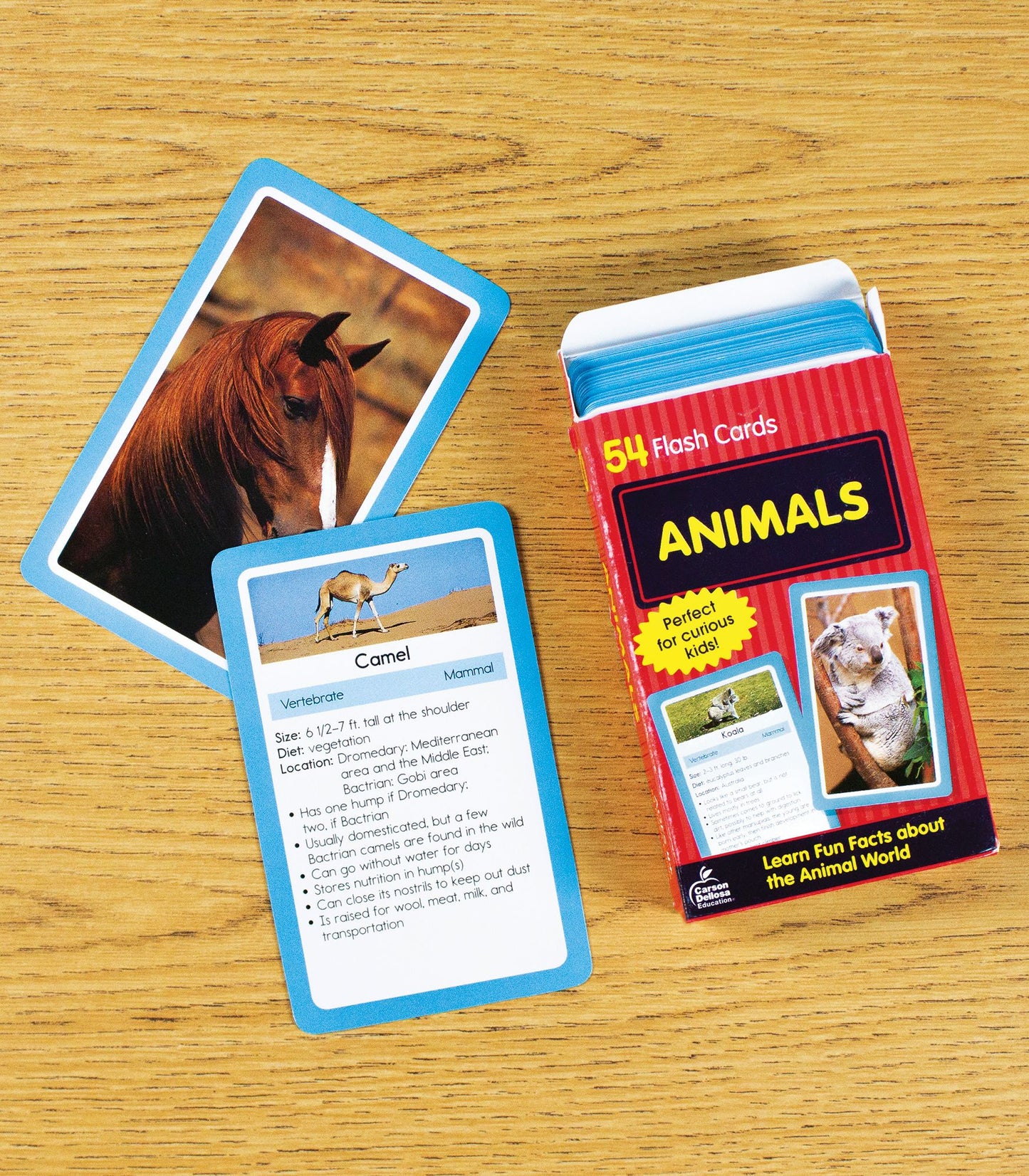 Animals: 54 Flash Cards