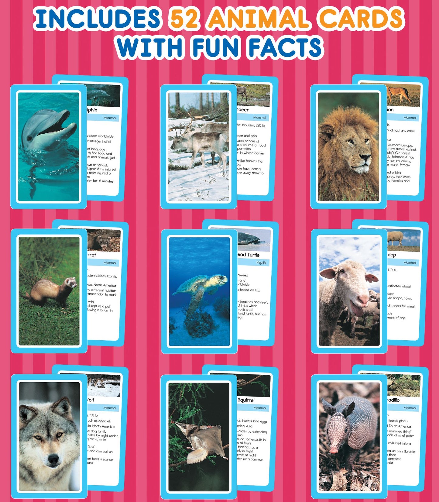 Animals: 54 Flash Cards