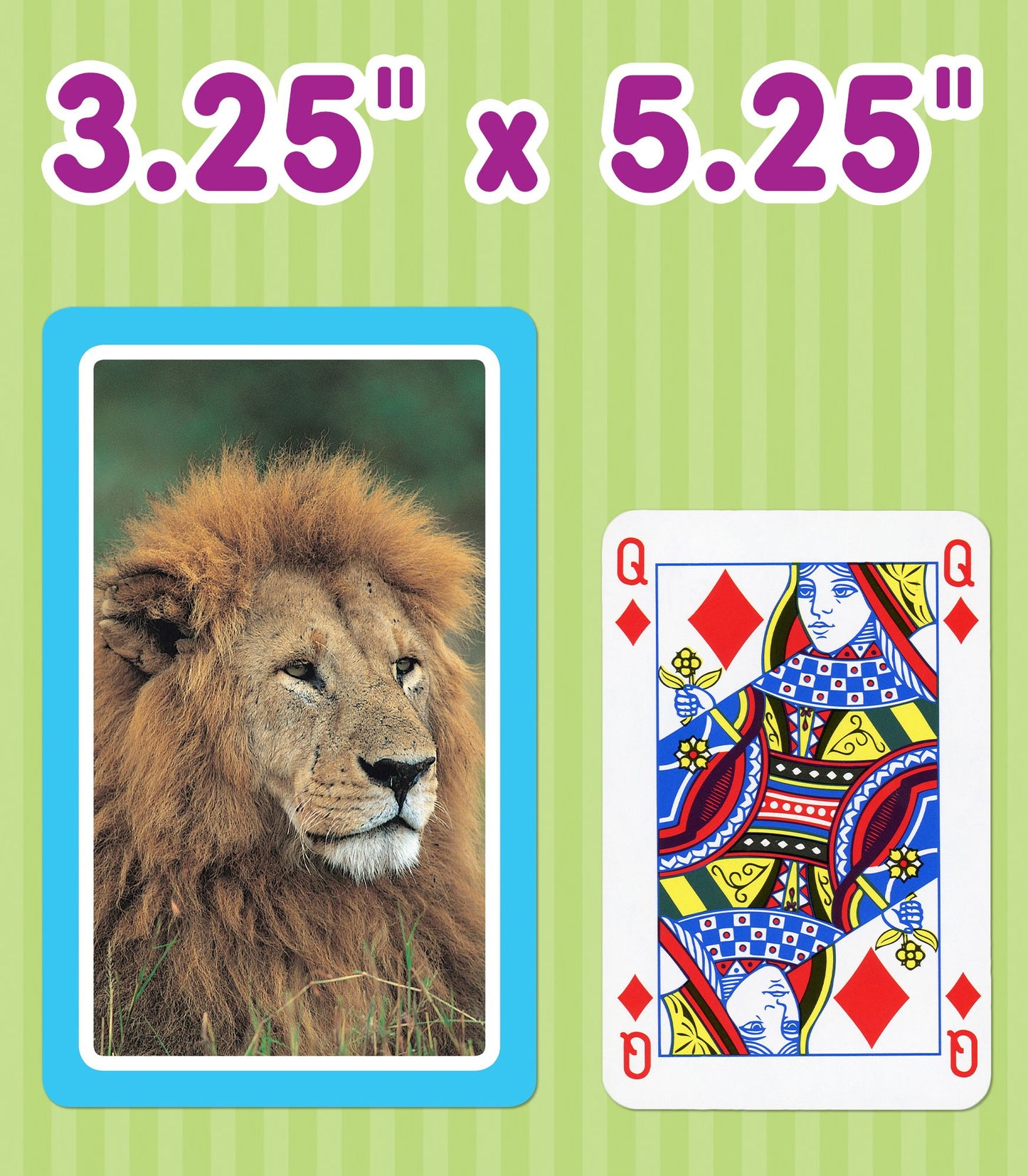Animals: 54 Flash Cards
