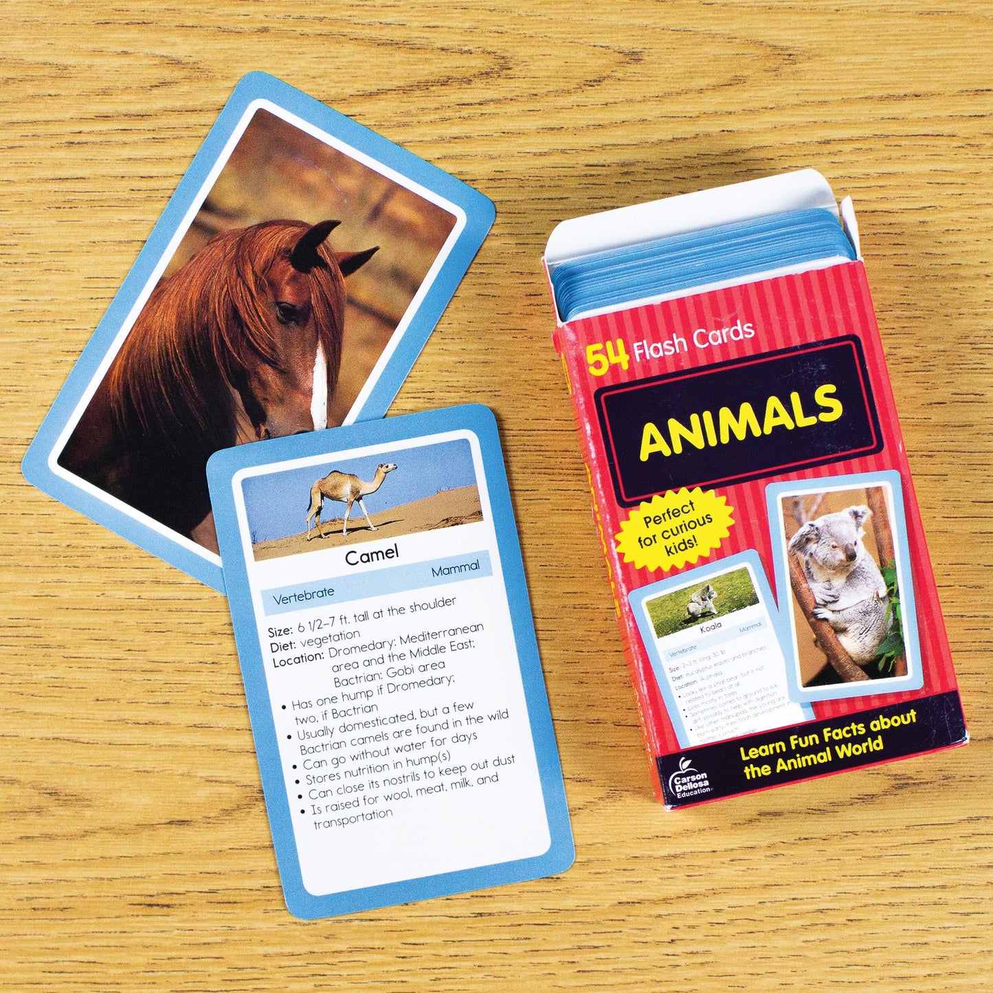 Animals: 54 Flash Cards