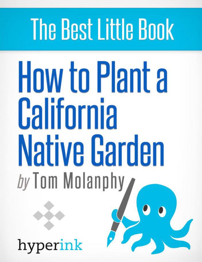 How To Plant a California Native Garden