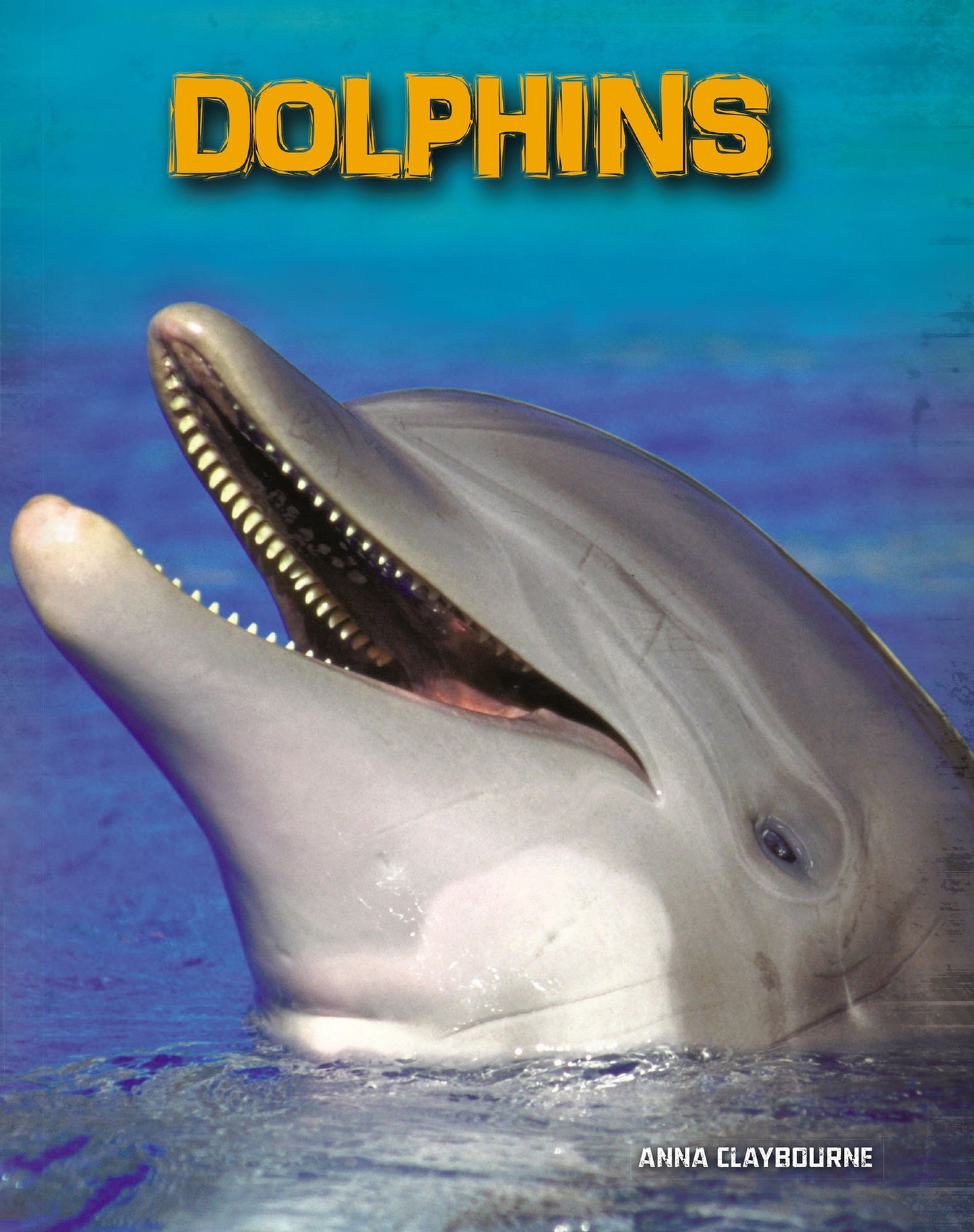 Dolphins