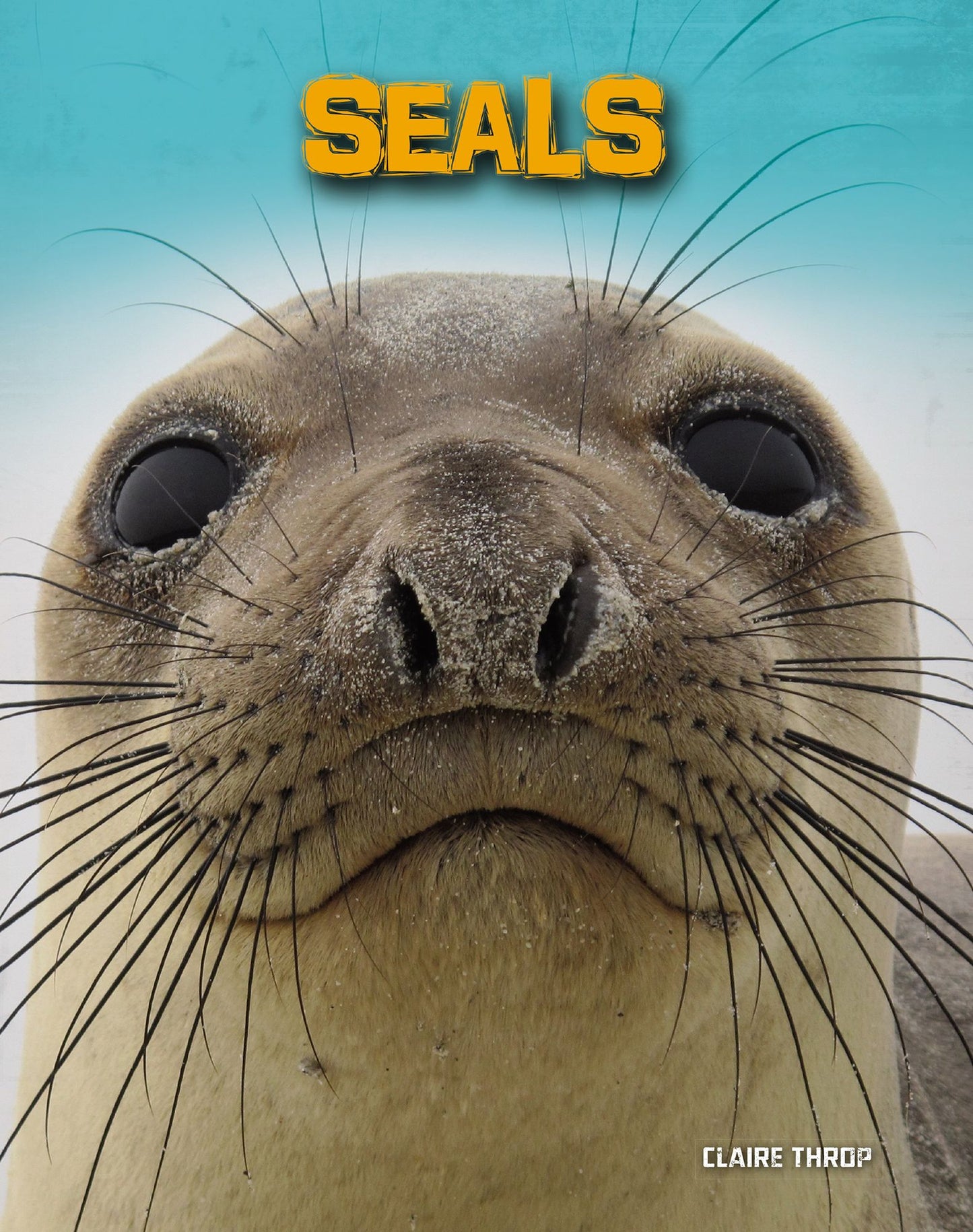 Seals