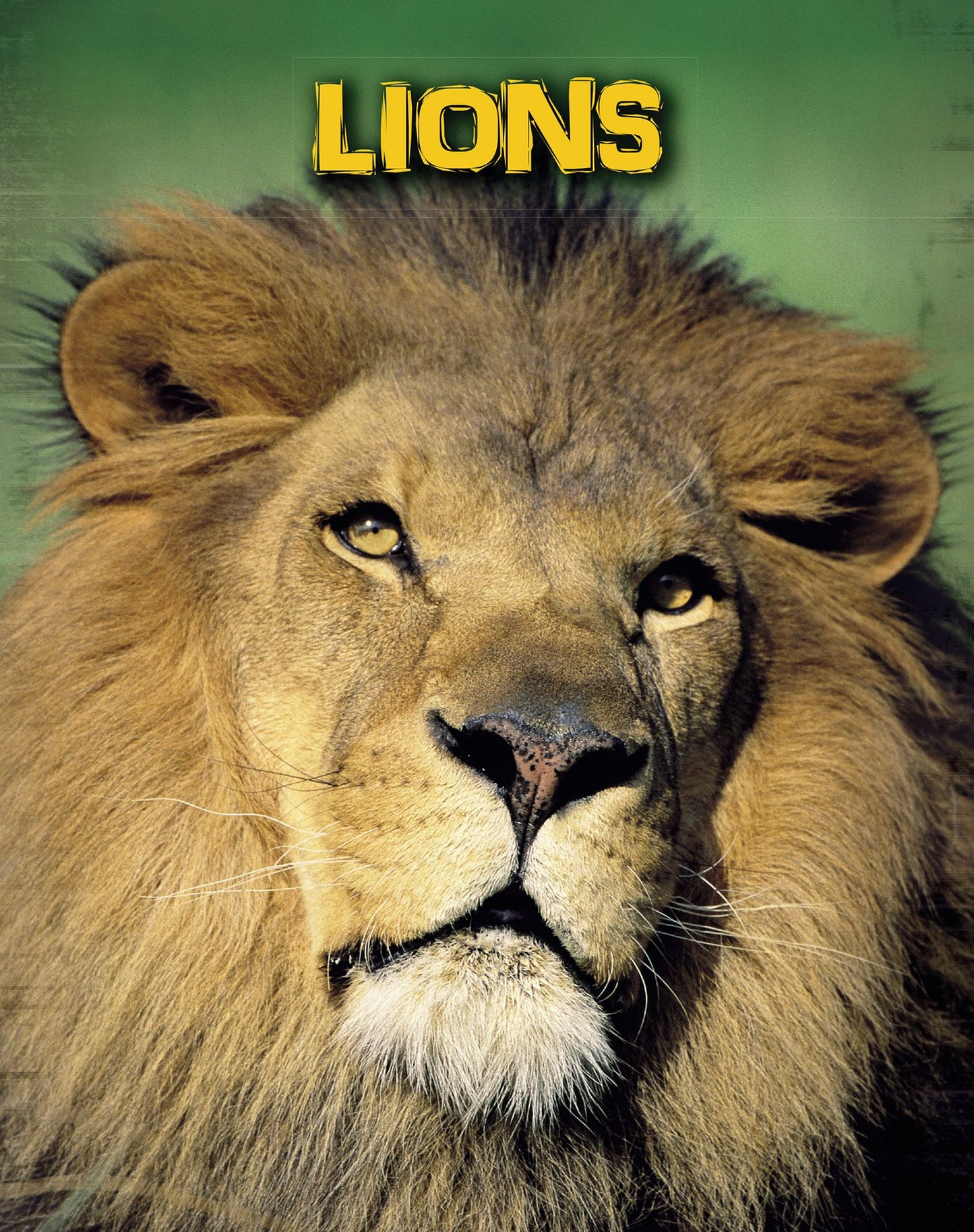 Lions