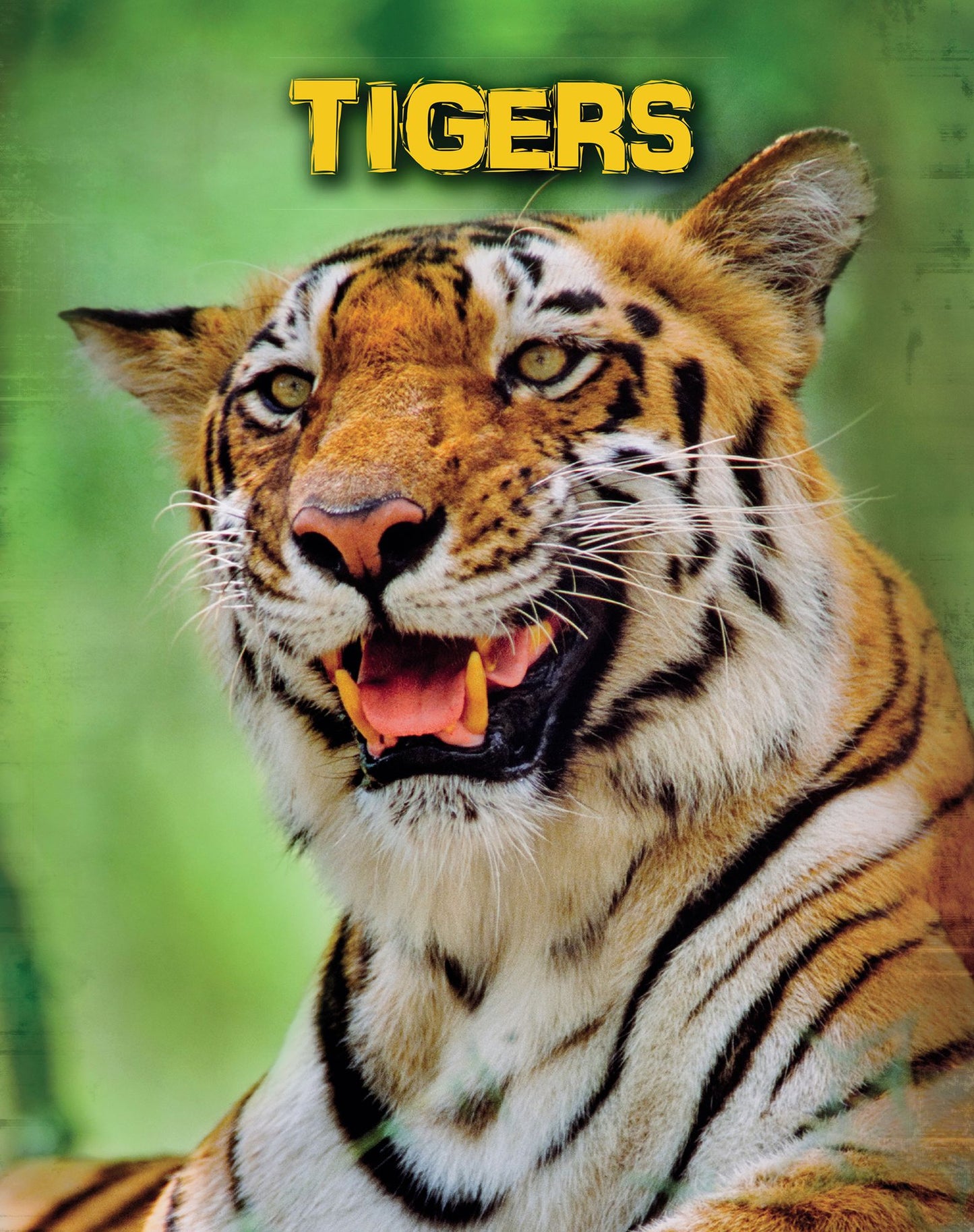 Tigers
