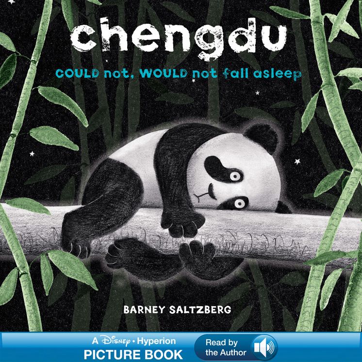 Chengdu Could Not Would Not Fall Asleep