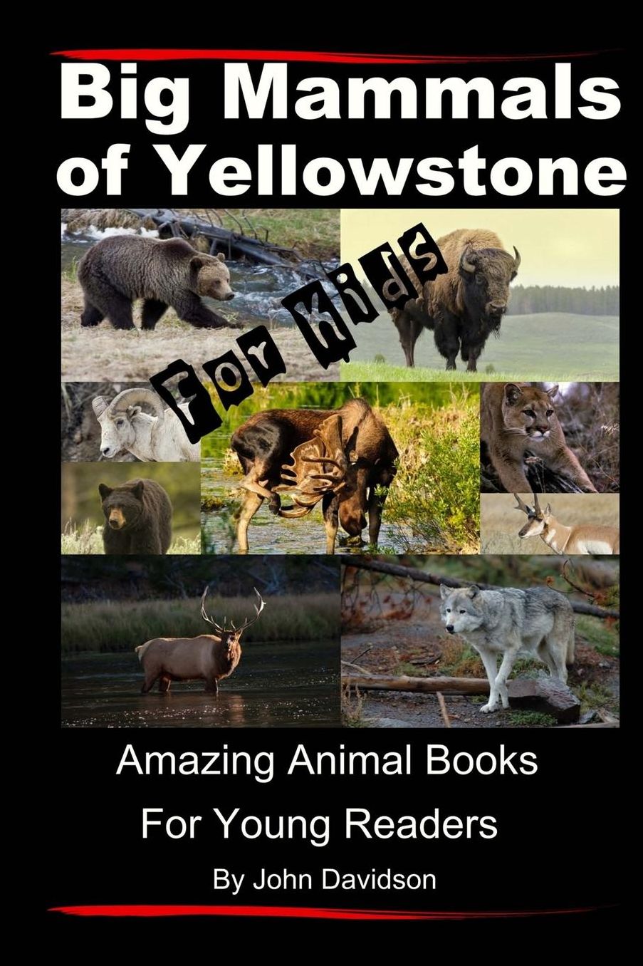 Big Mammals Of Yellowstone For Kids: Amazing Animal Books for Young Readers