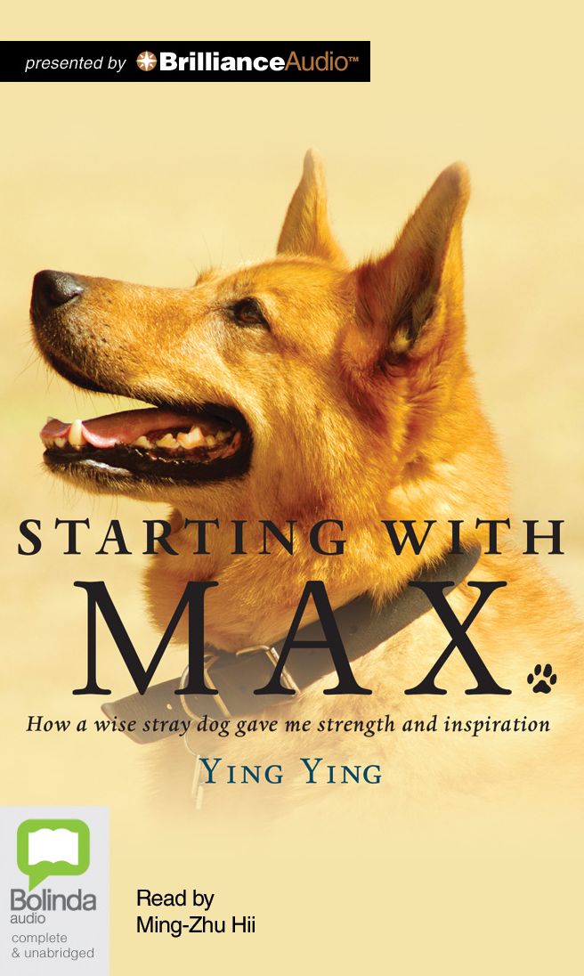Starting with Max: How a Wise Stray Dog Gave Me Strength and Inspiration