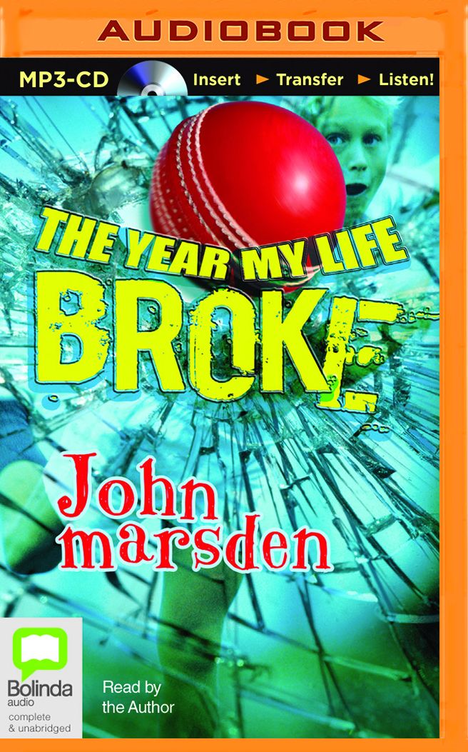 The Year My Life Broke