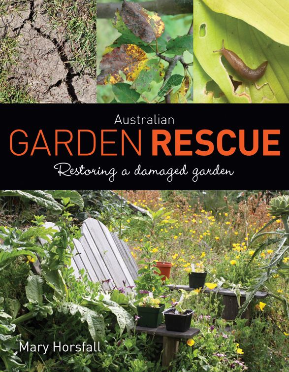 Australian Garden Rescue: Restoring a Damaged Garden