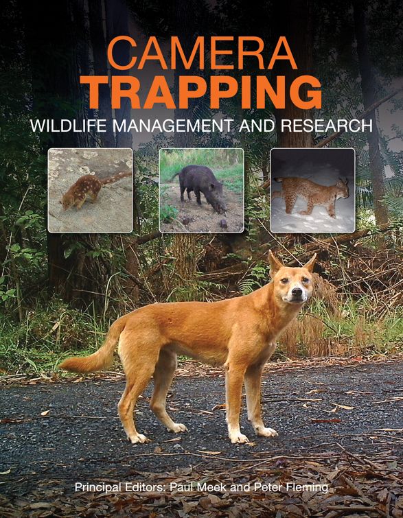 Camera Trapping: Wildlife Management and Research