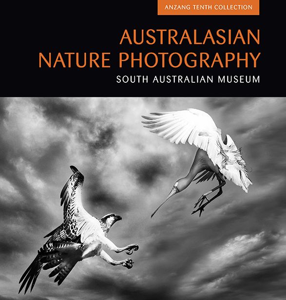Australasian Nature Photography: Anzang Tenth Collection