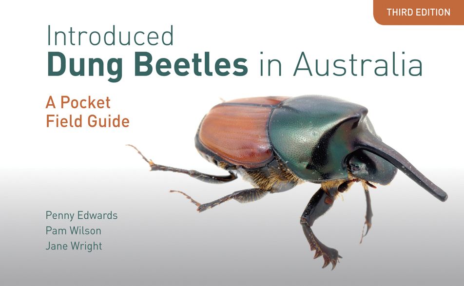 Introduced Dung Beetles in Australia: A Pocket Field Guide