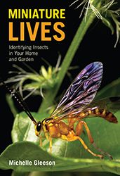 Miniature Lives: Identifying Insects in Your Home and Garden