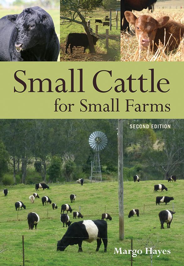Small Cattle for Small Farms