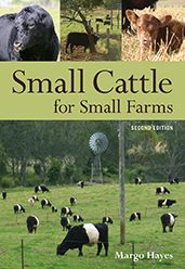 Small Cattle for Small Farms