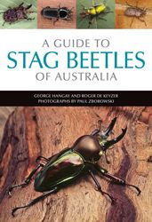A Guide to Stag Beetles of Australia
