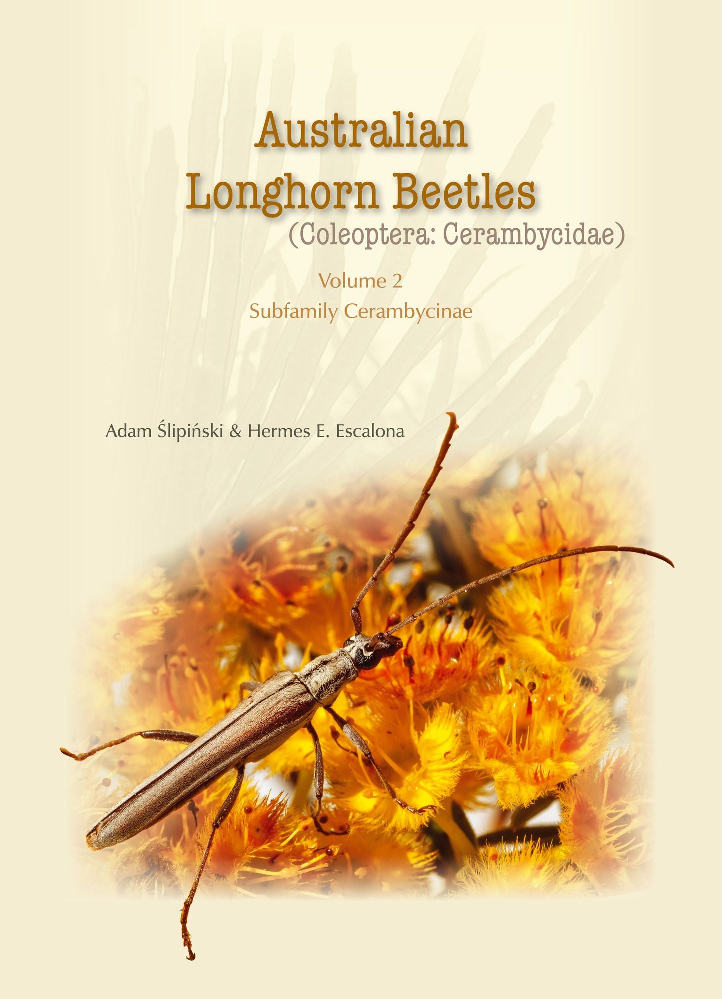 Australian Longhorn Beetles: Coleoptera: Cerambycidae