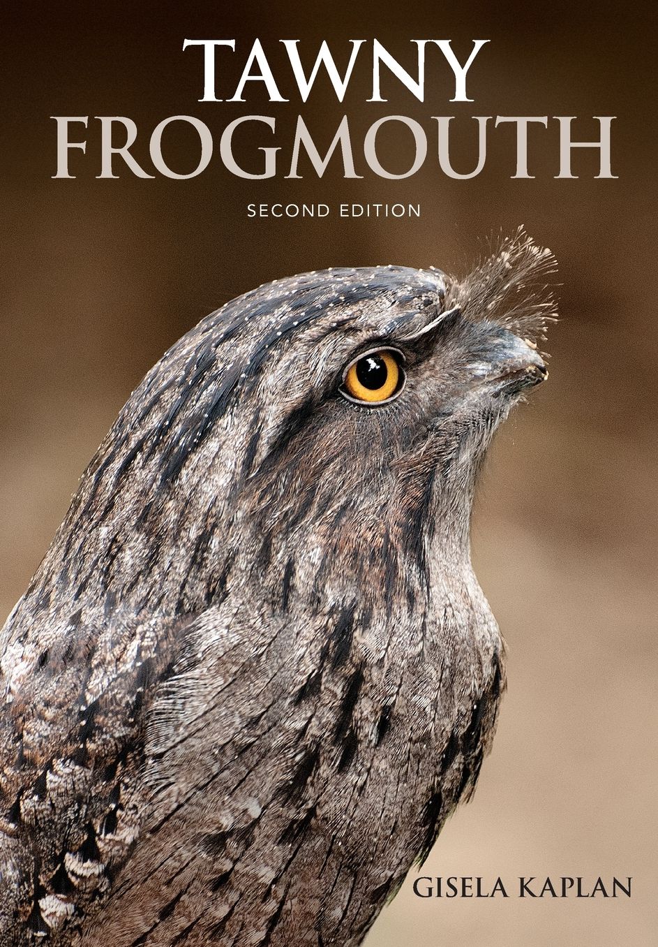 Tawny Frogmouth