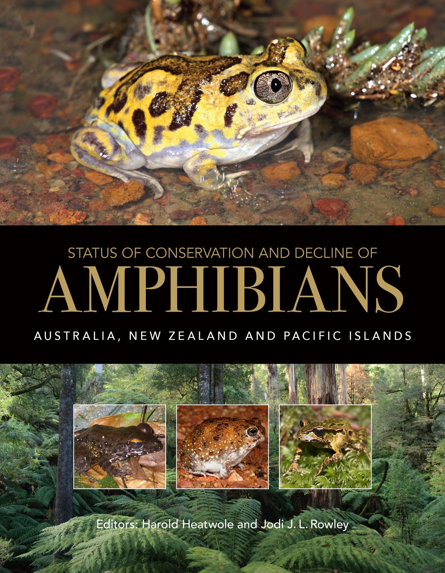 Status of Conservation and Decline of Amphibians: Australia, New Zealand, and Pacific Islands