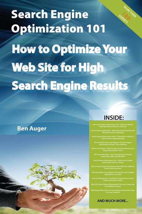 Search Engine Optimization 101 - How to Optimize Your Web Site for High Search Engine Results