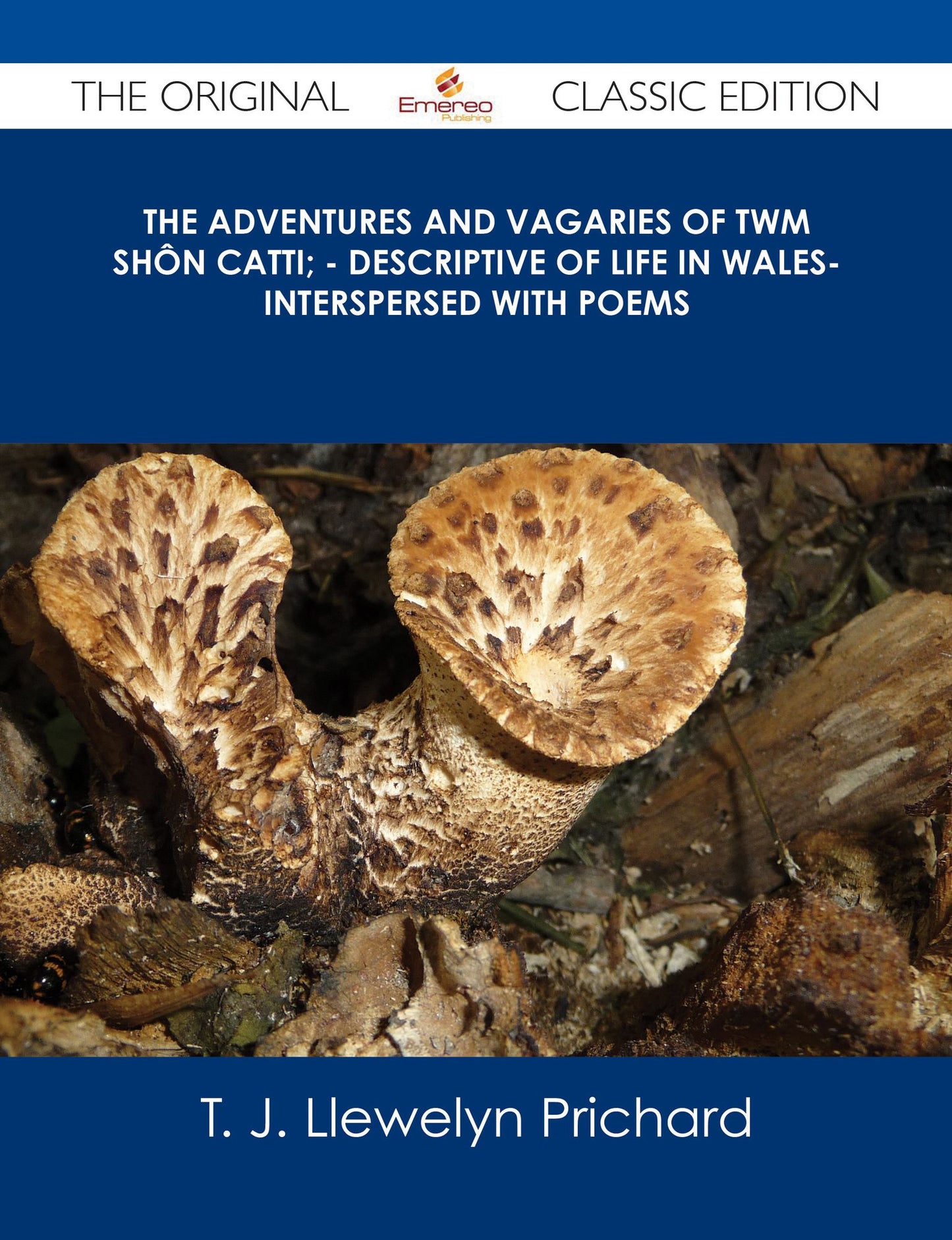 The Adventures and Vagaries of Twm Sh?n Catti; - Descriptive of Life in Wales- Interspersed with Poems - The Original Classic Edition