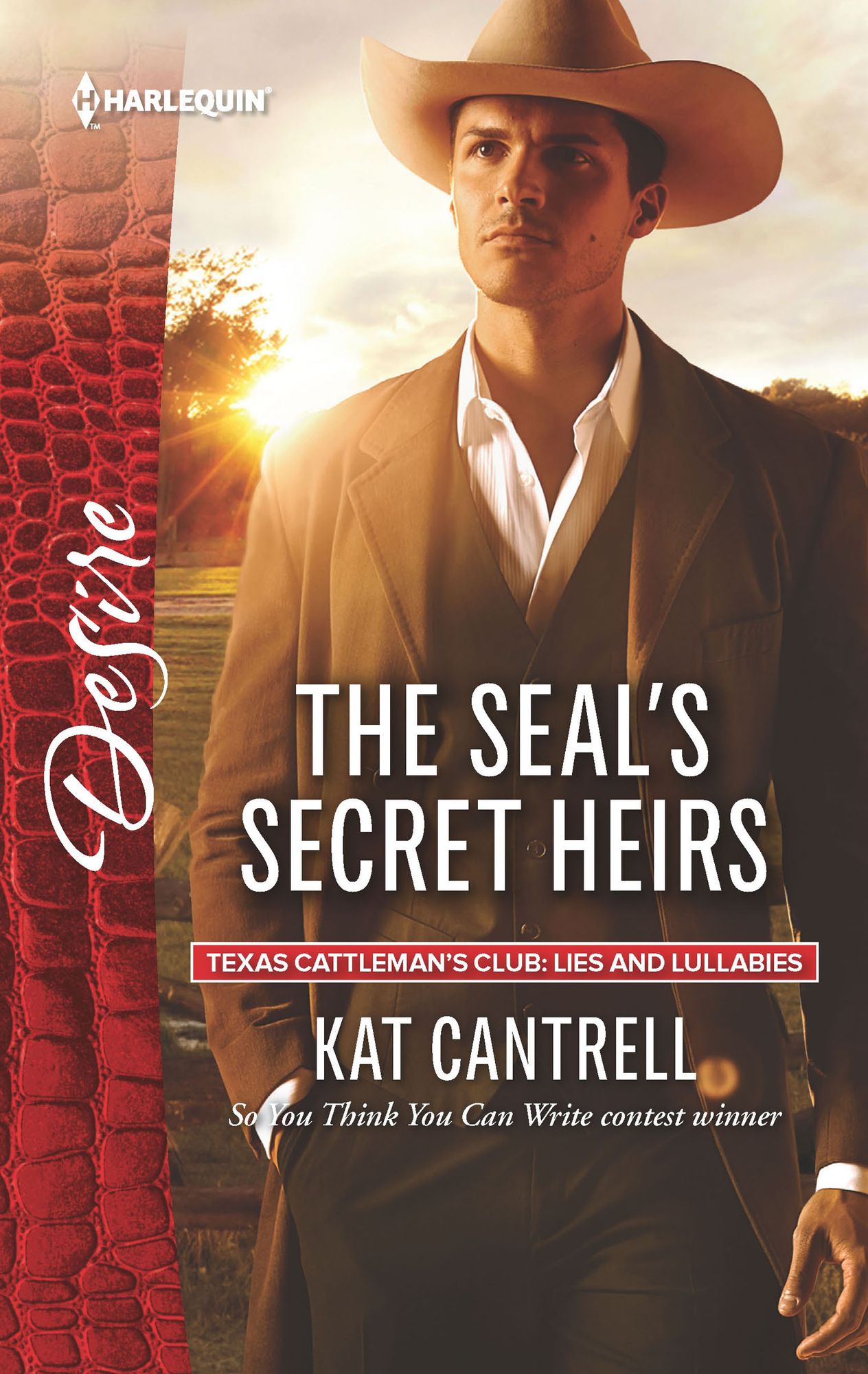 The SEAL's Secret Heirs: A Single Dad Romance