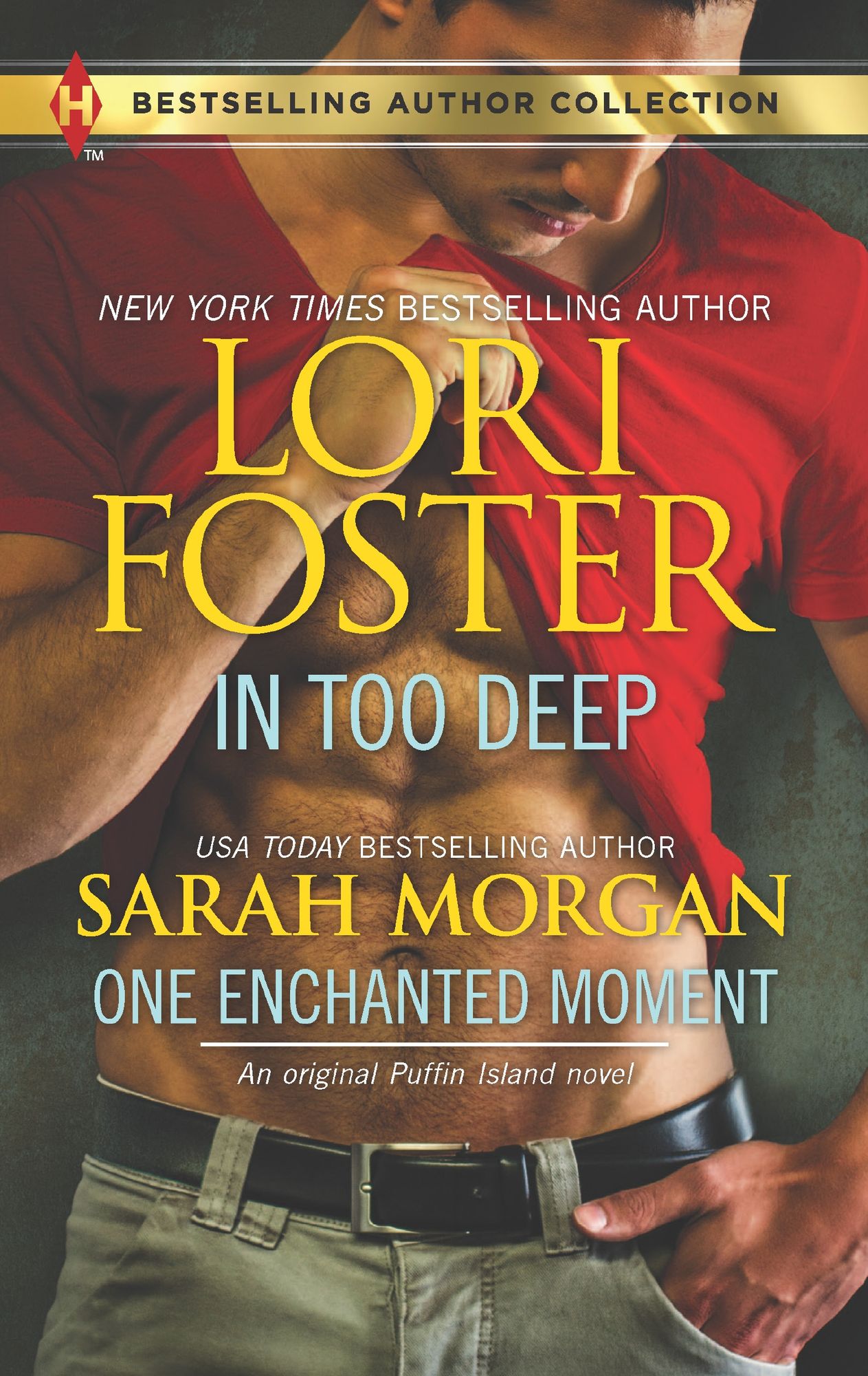 In Too Deep & One Enchanted Moment: A Puffin Island Novel In Too DeepOne Enchanted Moment