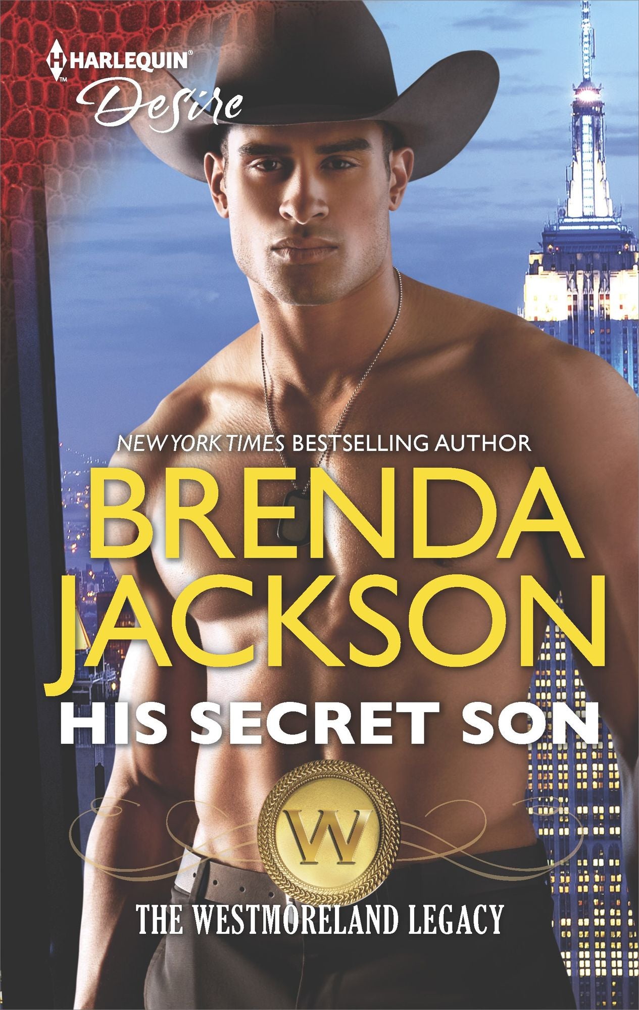 His Secret Son: A Surprise Pregnancy Western Romance