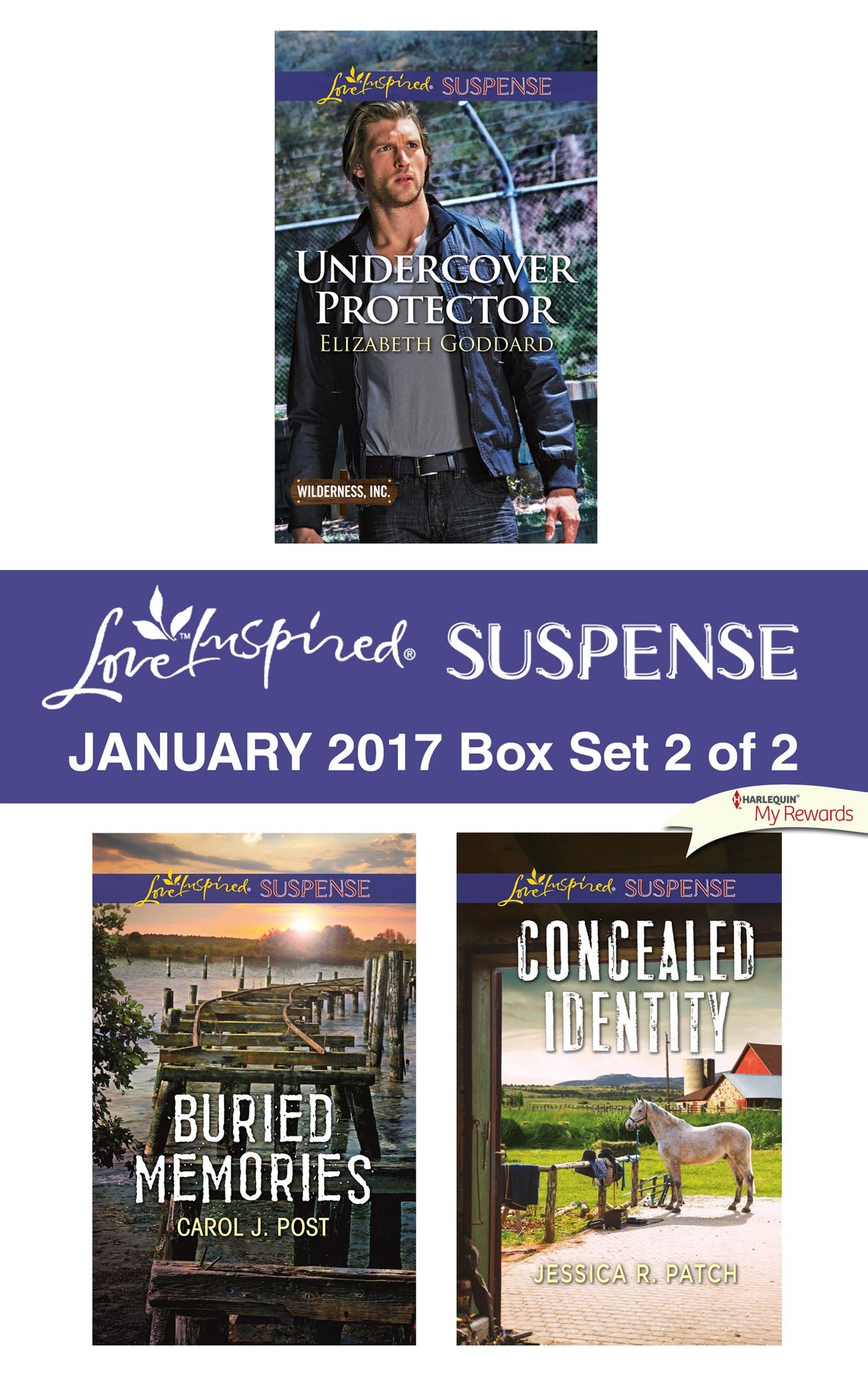 Harlequin Love Inspired Suspense January 2017 - Box Set 2 of 2: Undercover ProtectorBuried MemoriesConcealed Identity