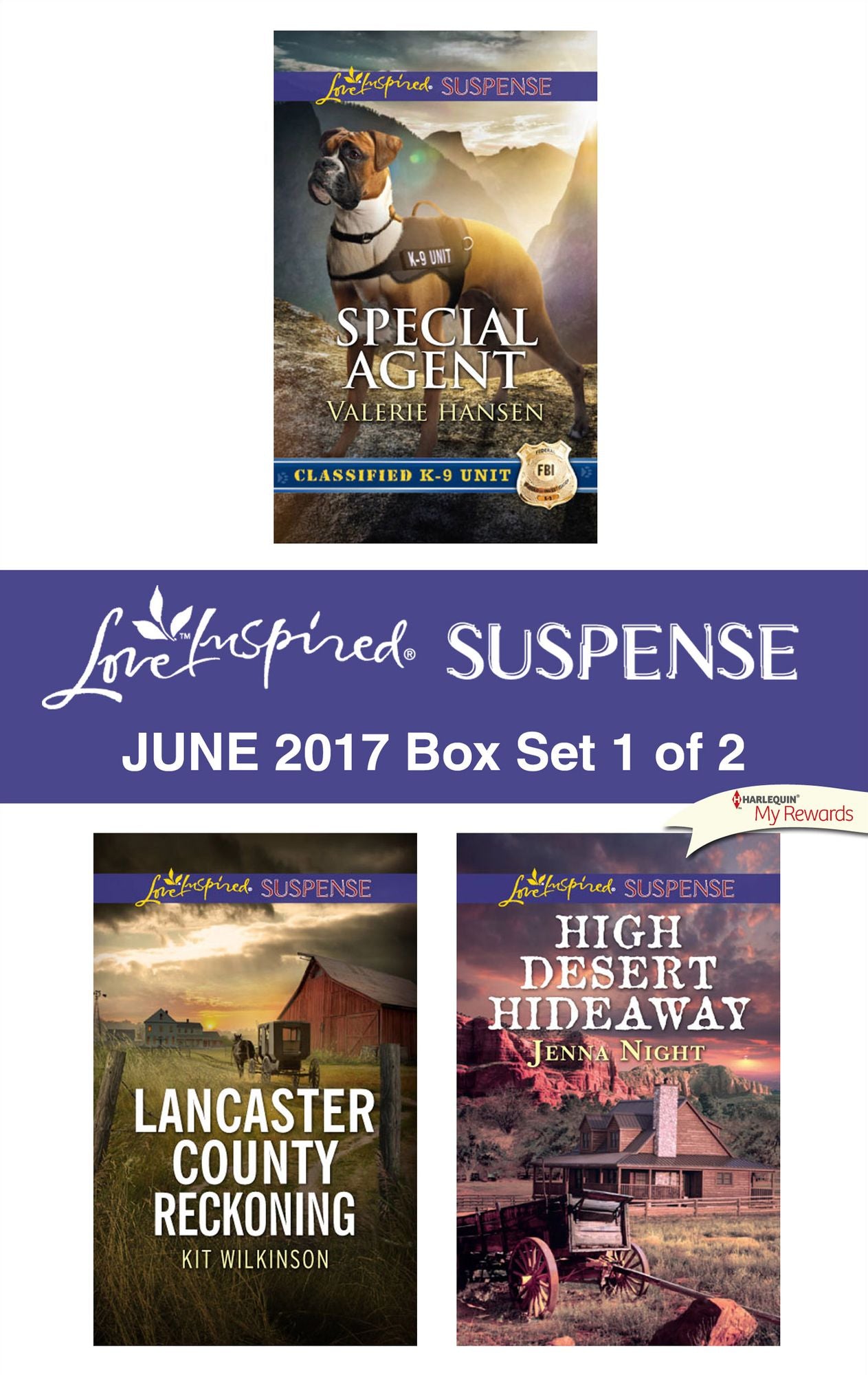 Harlequin Love Inspired Suspense June 2017 - Box Set 1 of 2: Special AgentLancaster County ReckoningHigh Desert Hideaway