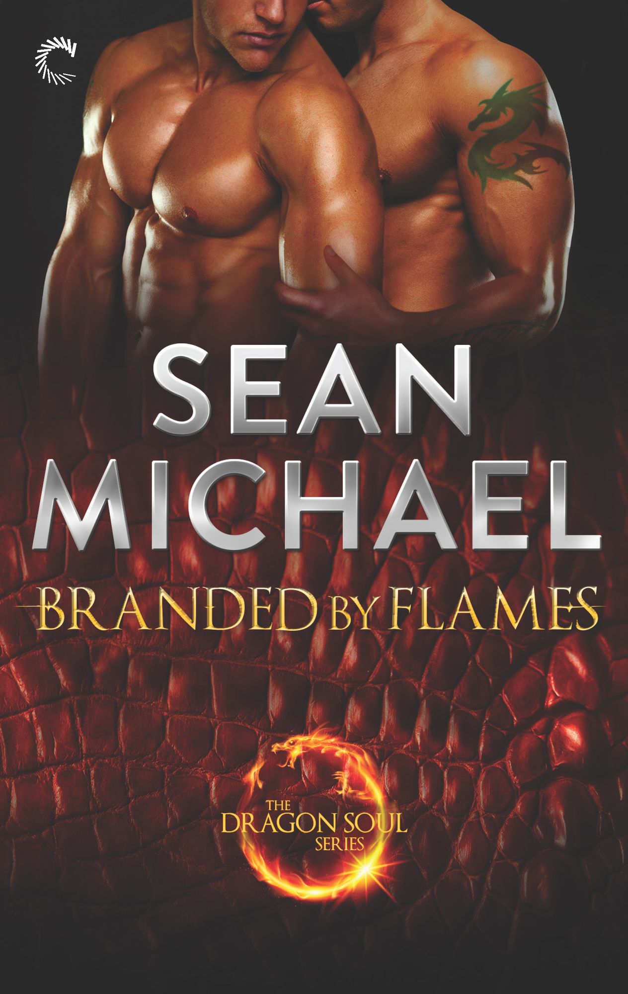 Branded by Flames: A Super-Sexy Dragon Shifter M/M Romance