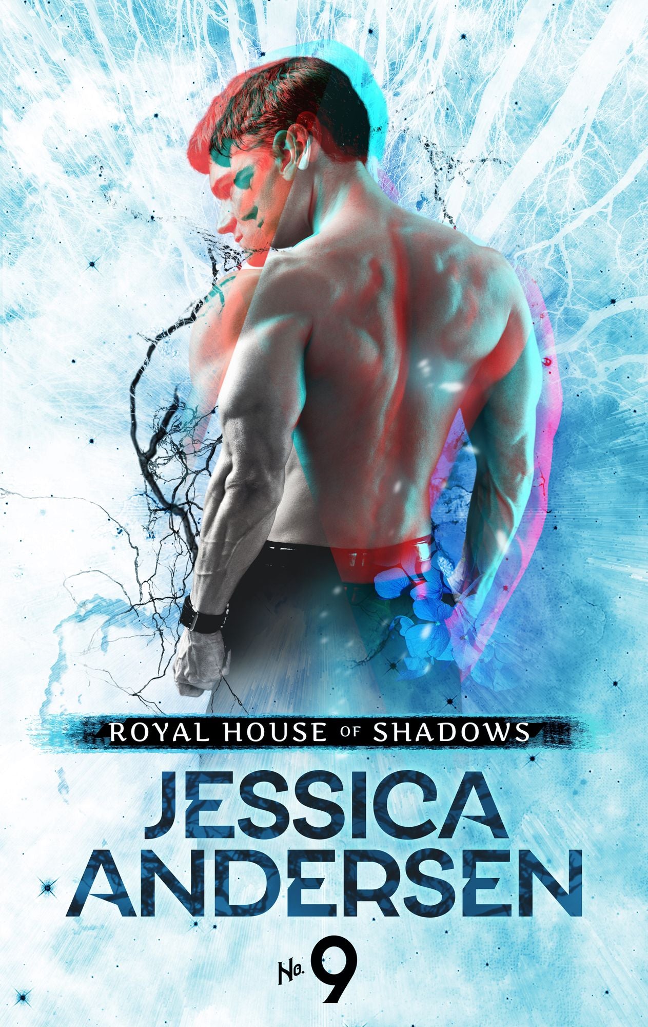 Royal House of Shadows: Part 9 of 12: A Fantasy Romance Novel