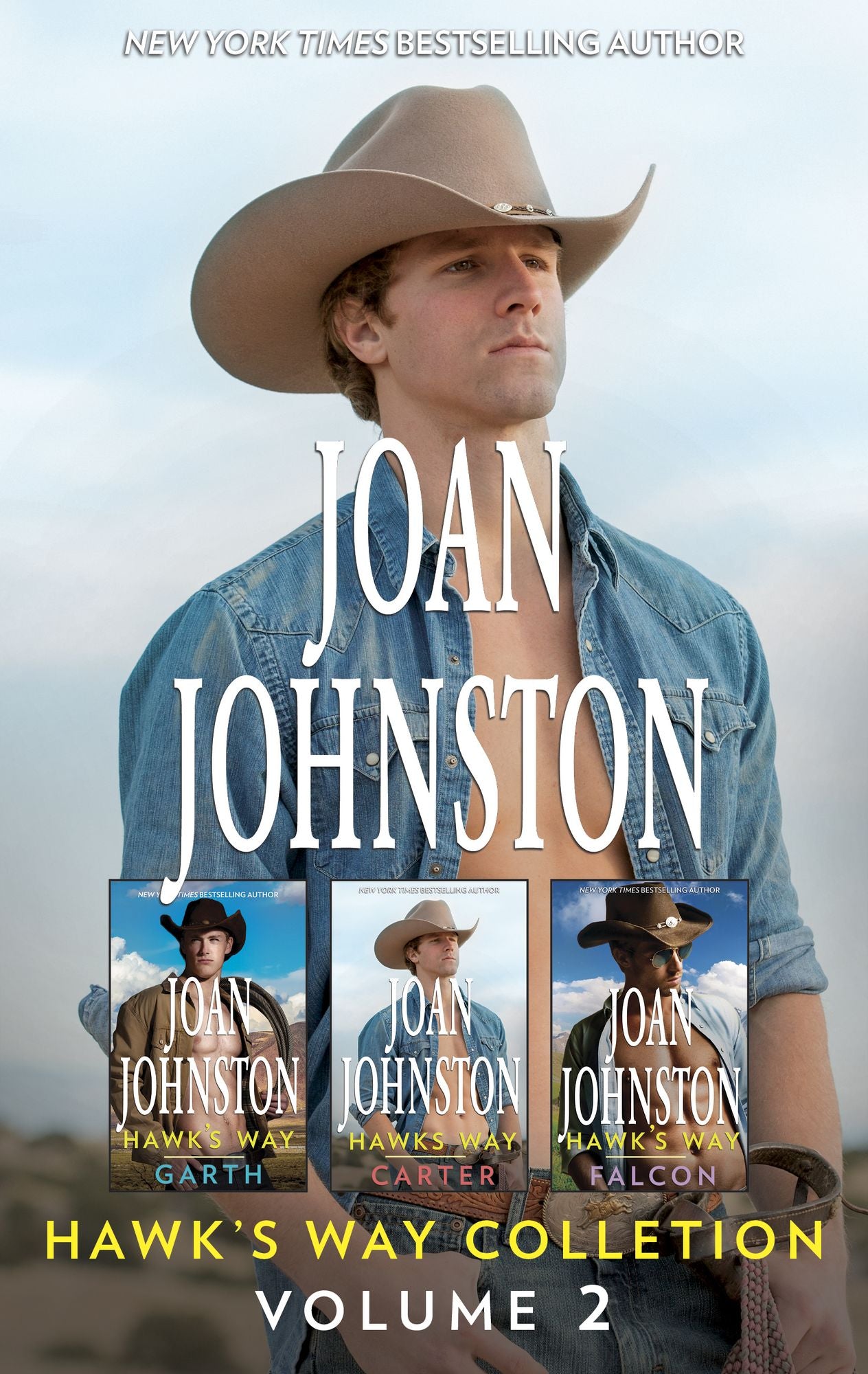 Joan Johnston Hawk's Way Collection Volume 2: Hawk's Way: GarthHawk's Way: CarterHawk's Way: Falcon