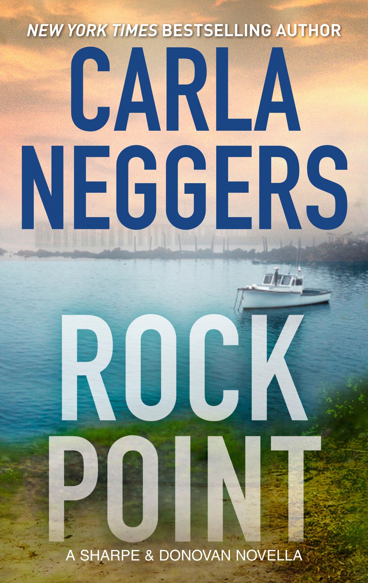 Rock Point: A Sharpe & Donovan Series Prequel Novella
