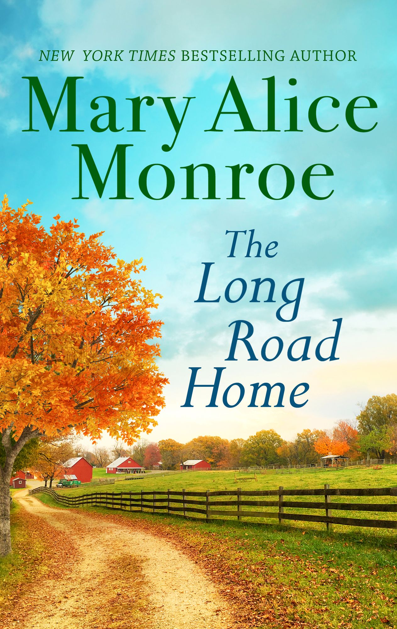 The Long Road Home