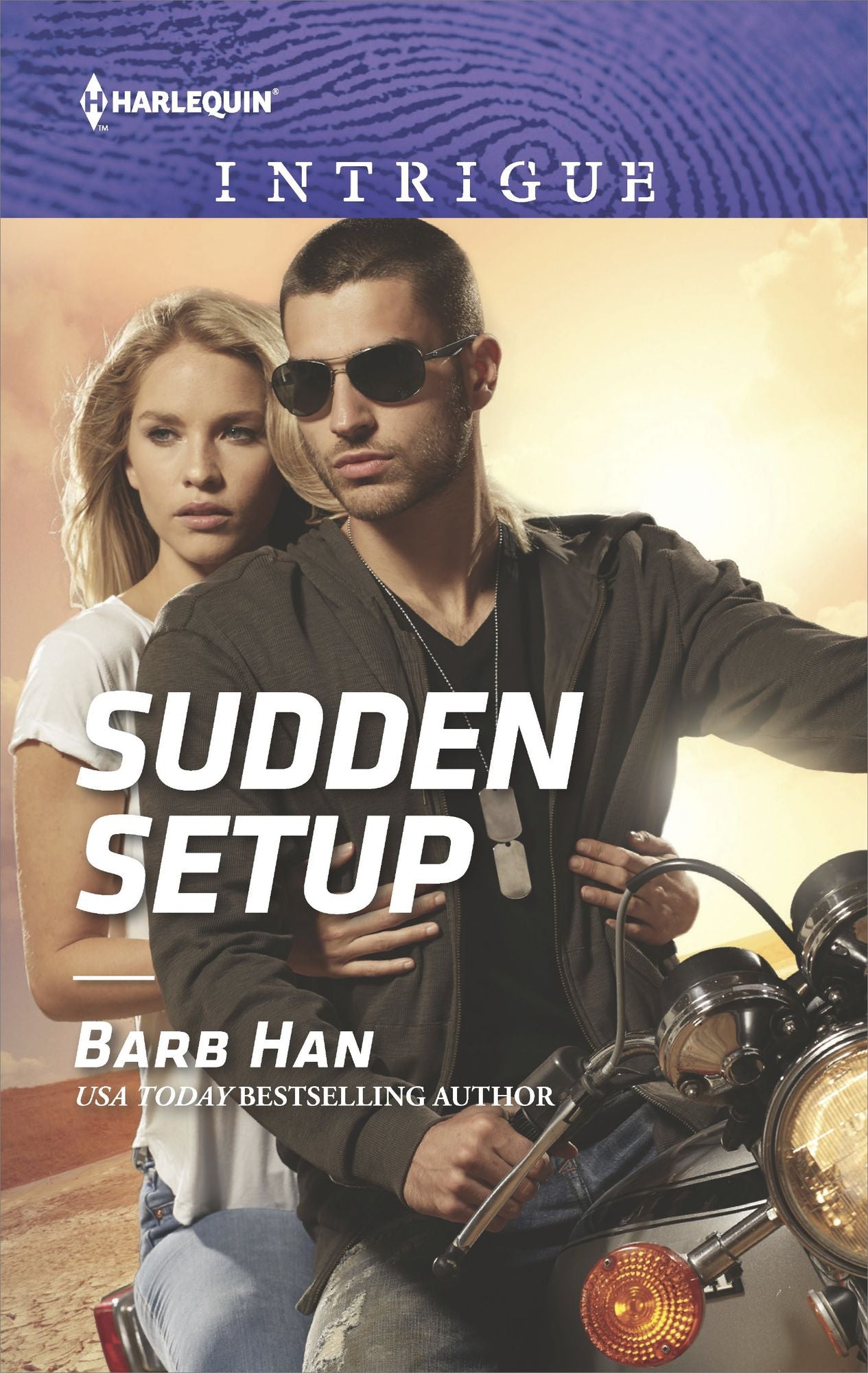 Sudden Setup: A Romantic Suspense Novel