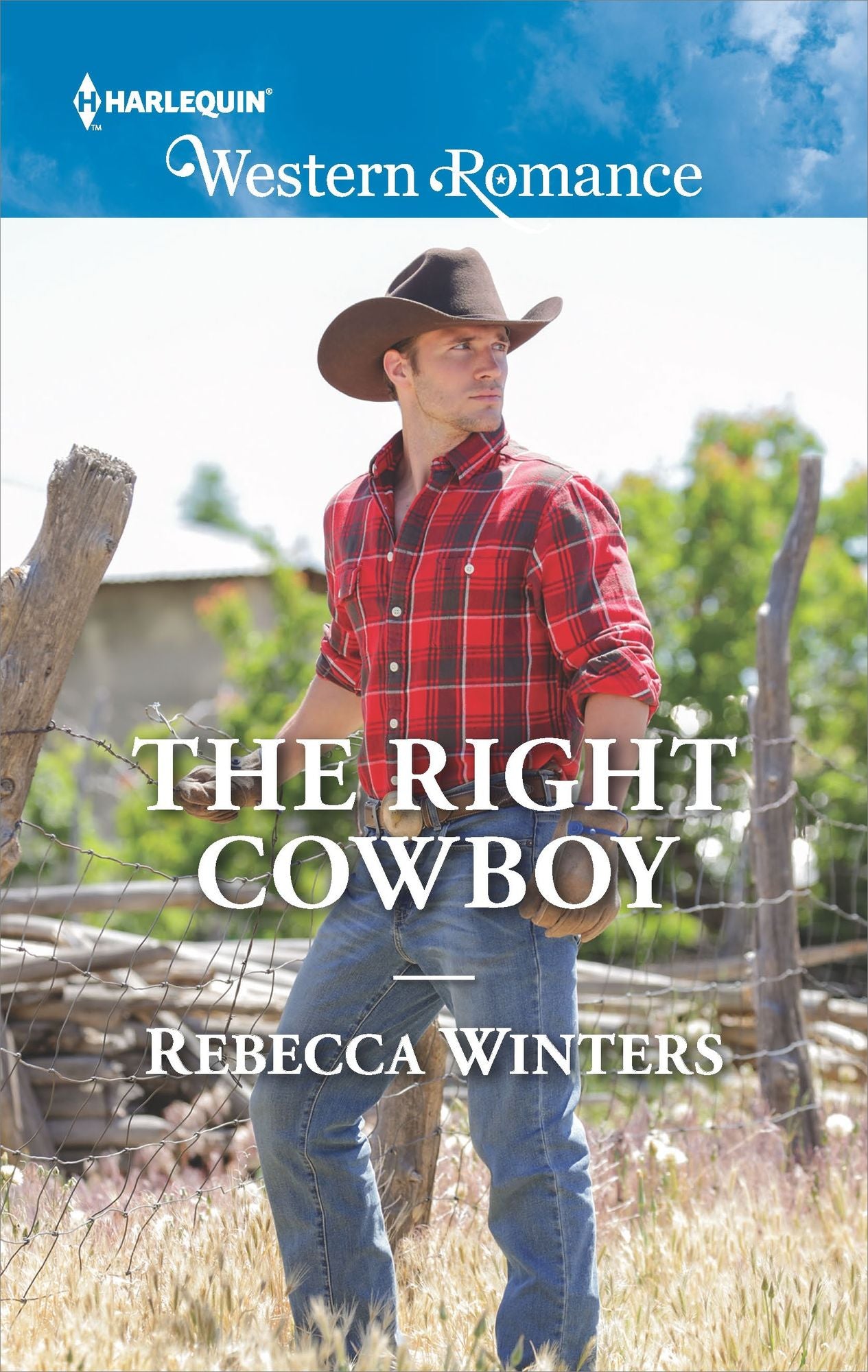 The Right Cowboy