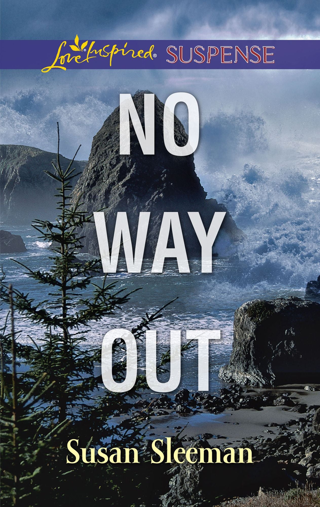 No Way Out: A PI Protector Romantic Suspense