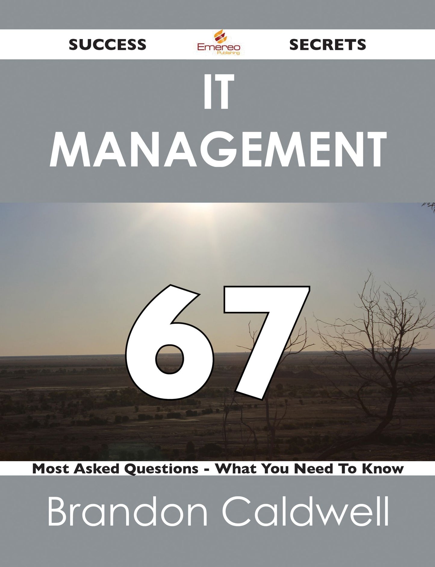 IT Management 67 Success Secrets - 67 Most Asked Questions On IT Management - What You Need To Know