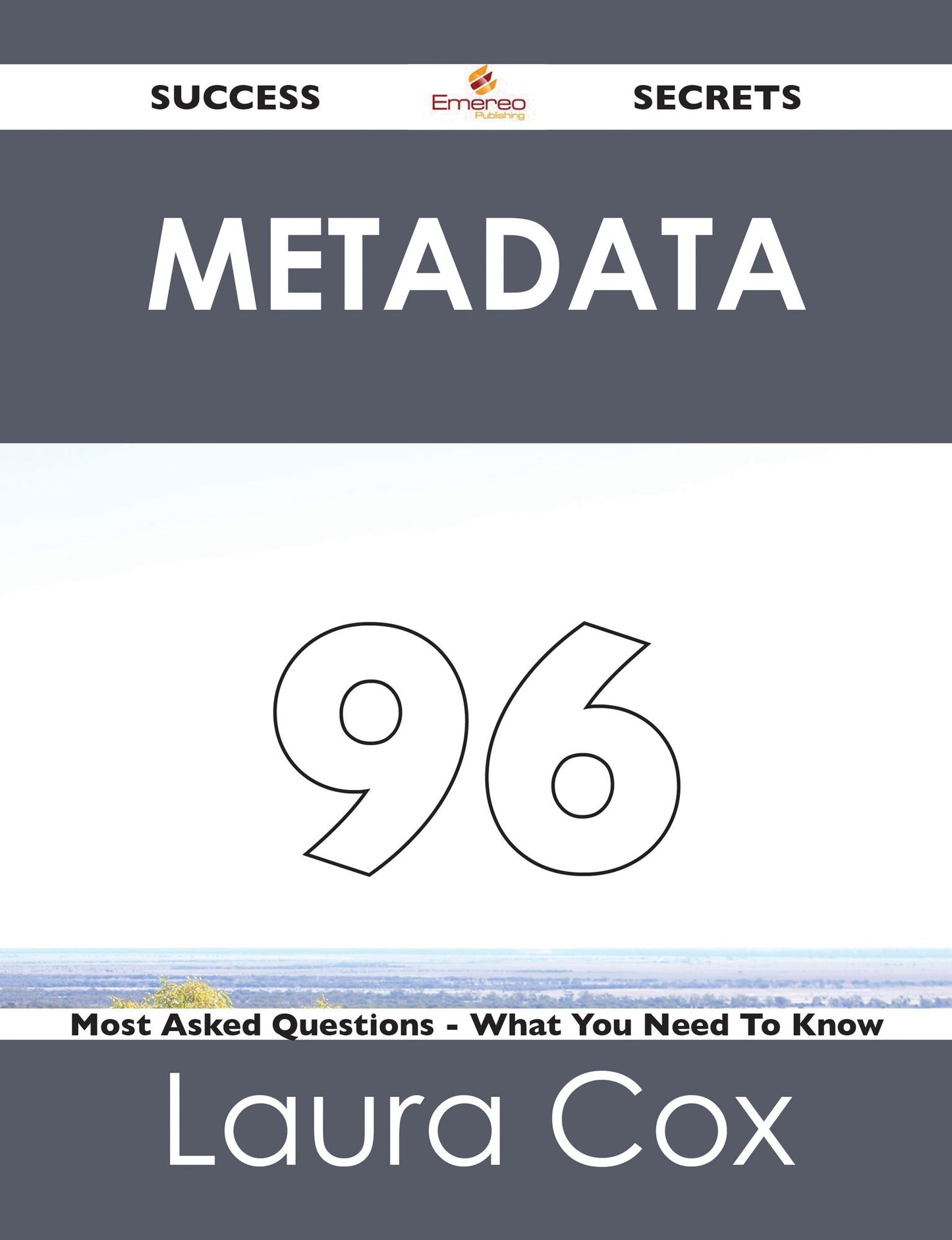 Metadata 96 Success Secrets - 96 Most Asked Questions On Metadata - What You Need To Know