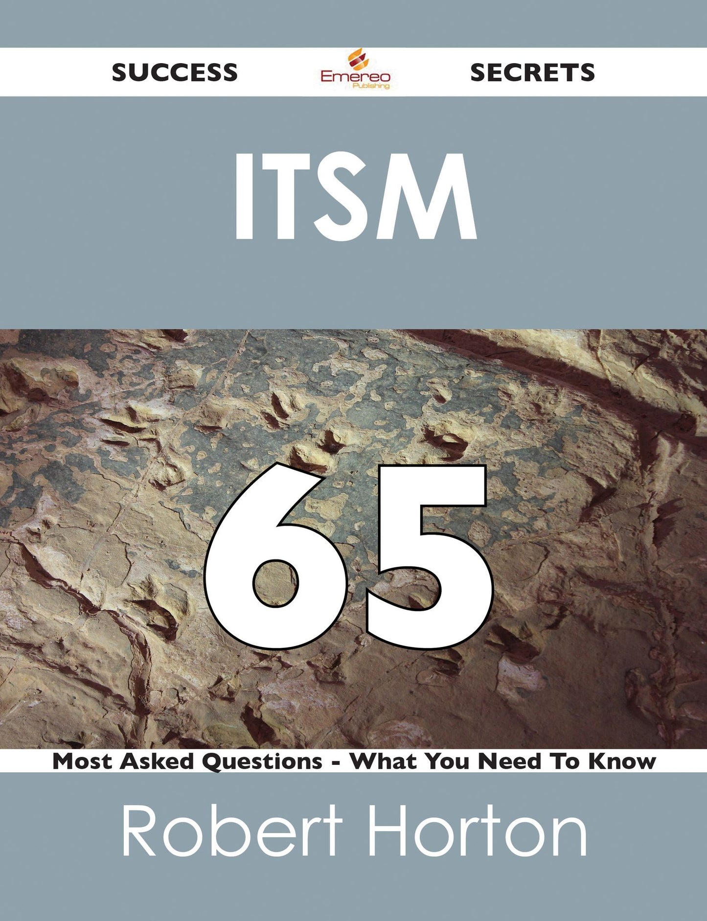 ITSM 65 Success Secrets - 65 Most Asked Questions On ITSM - What You Need To Know