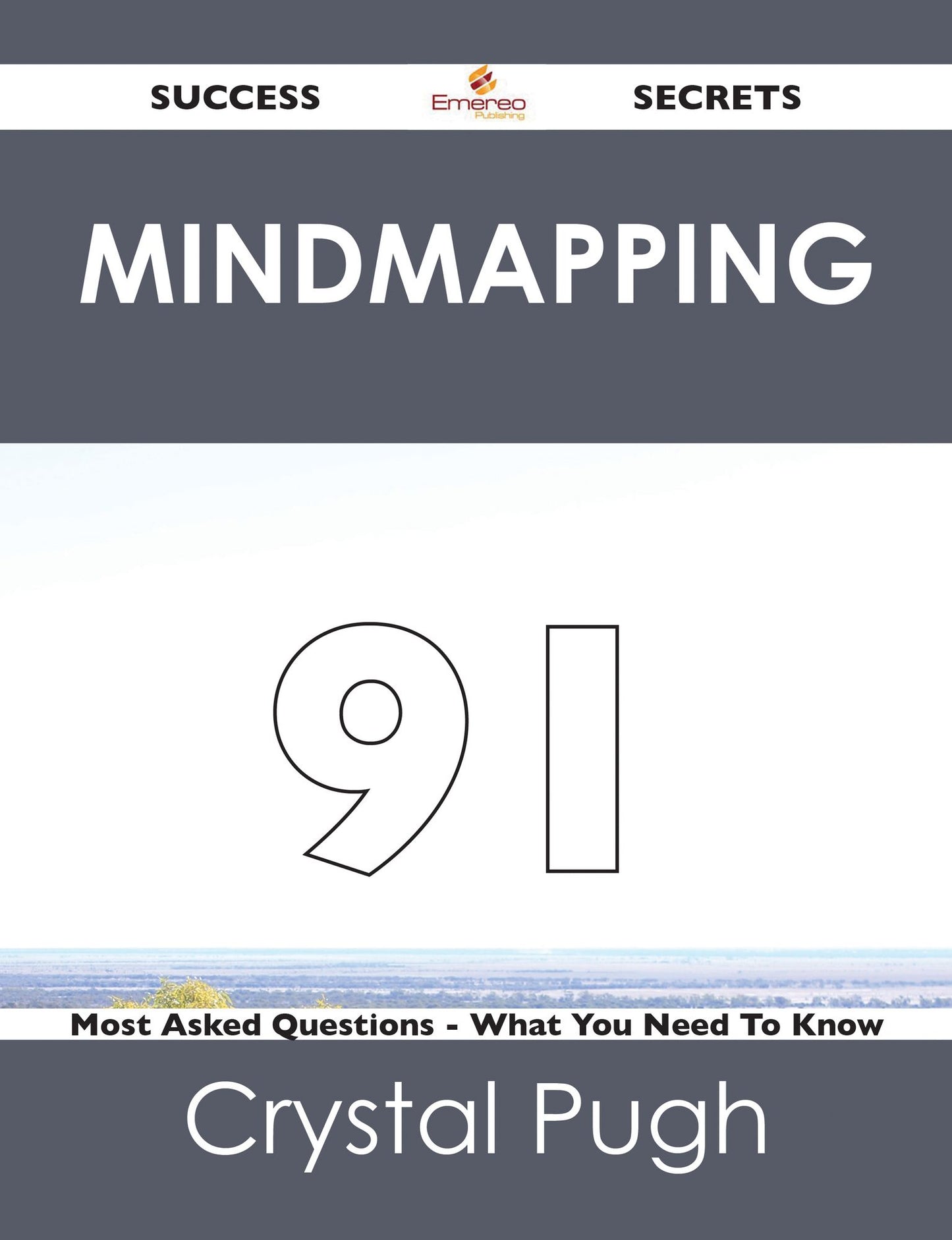 Mindmapping 91 Success Secrets - 91 Most Asked Questions On Mindmapping - What You Need To Know