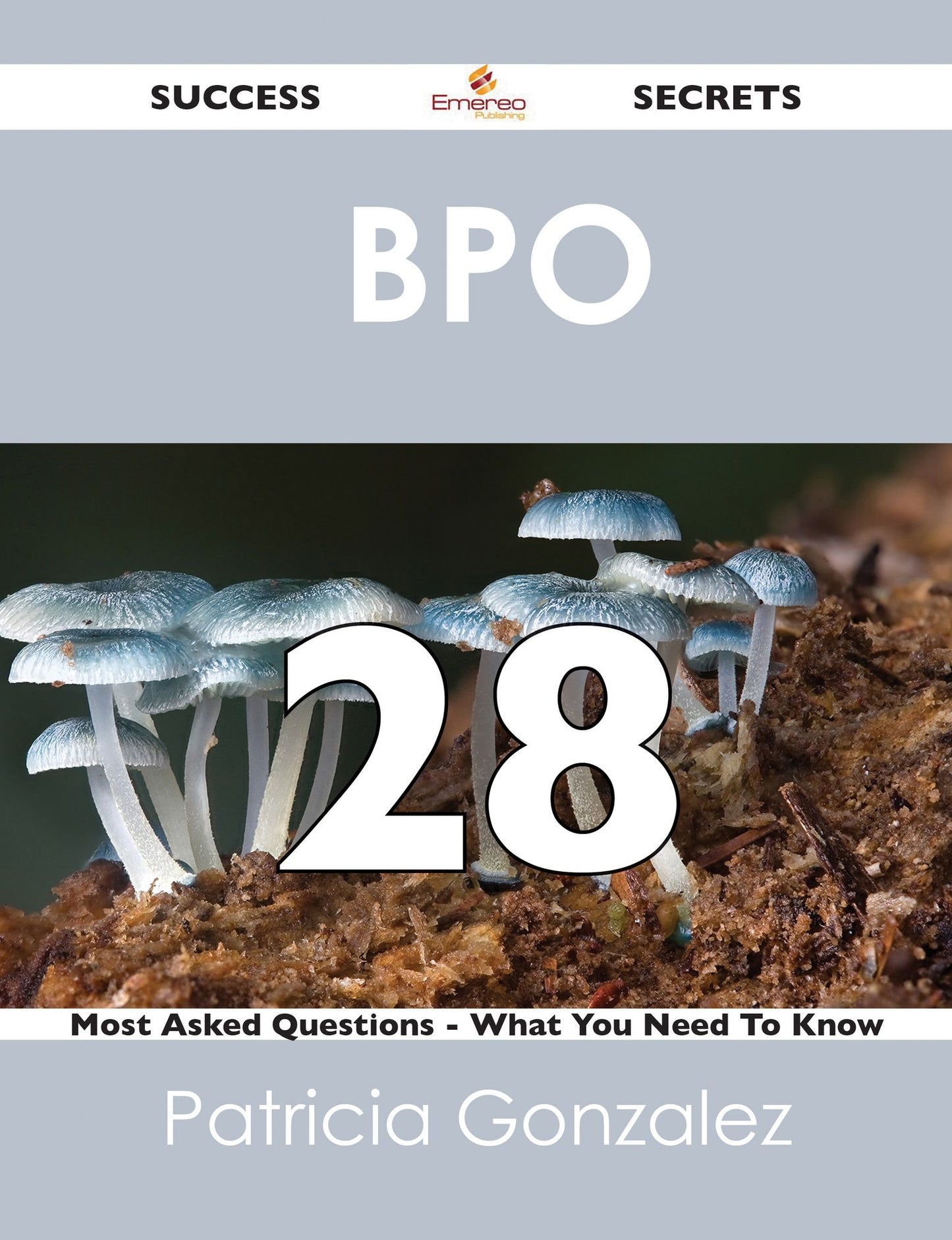 BPO 28 Success Secrets - 28 Most Asked Questions On BPO - What You Need To Know