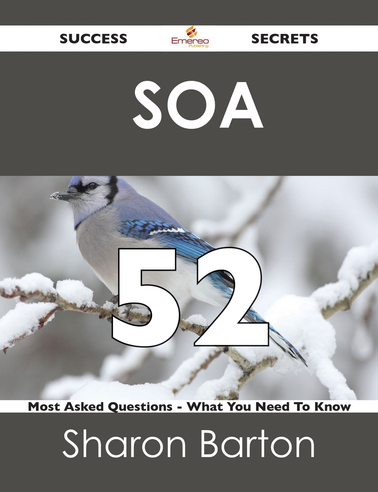 SOA 52 Success Secrets - 52 Most Asked Questions On SOA - What You Need To Know