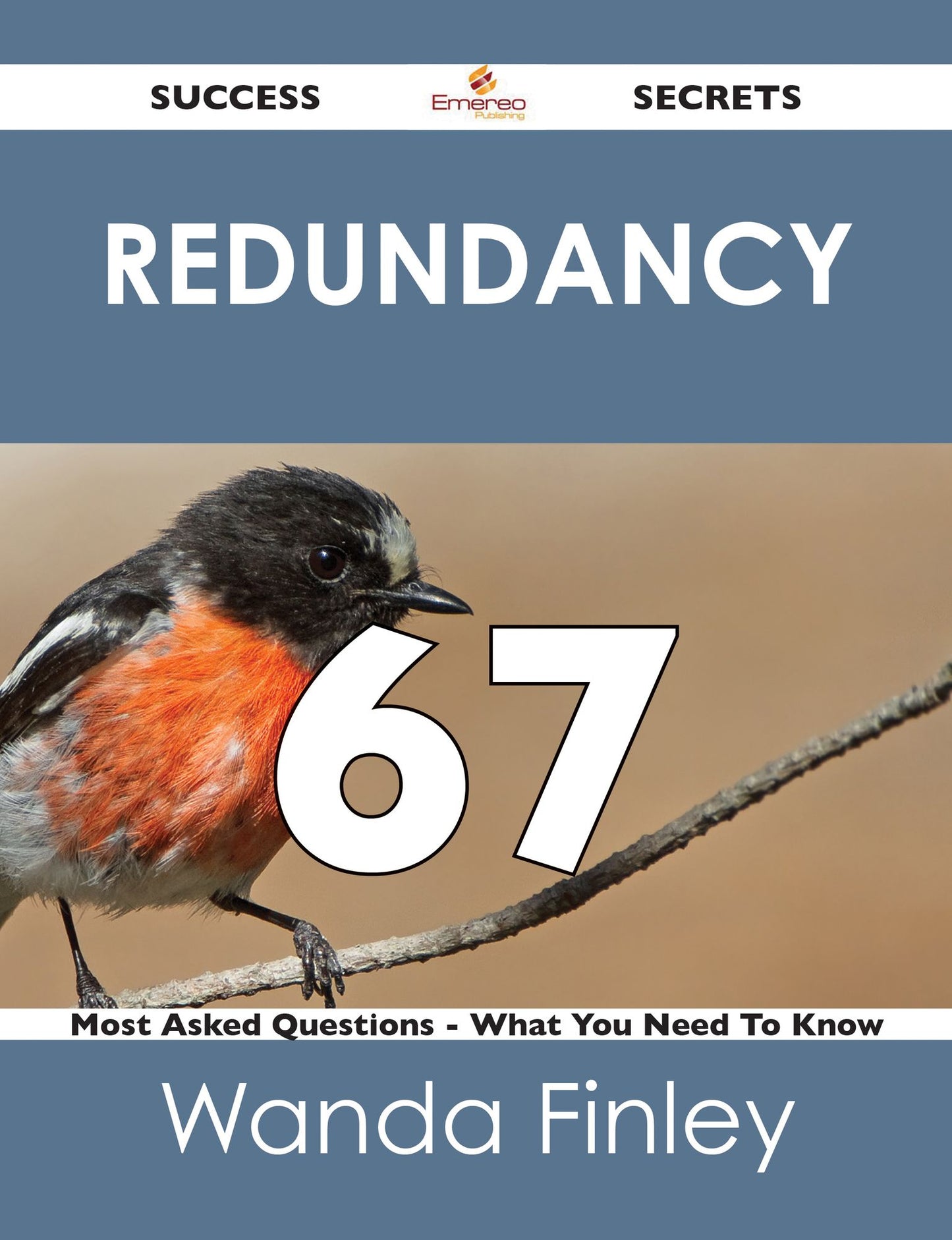 redundancy 67 Success Secrets - 67 Most Asked Questions On redundancy - What You Need To Know