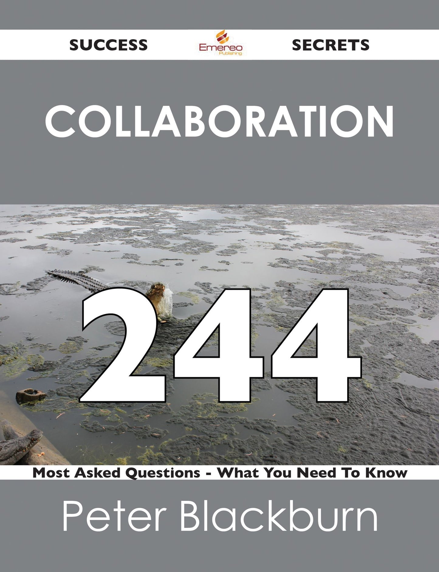 Collaboration 244 Success Secrets - 244 Most Asked Questions On Collaboration - What You Need To Know