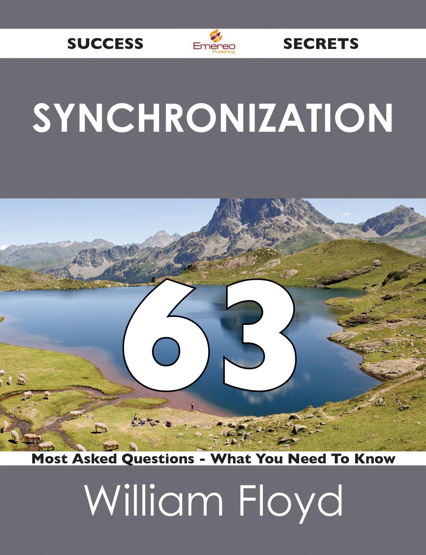 synchronization 63 Success Secrets - 63 Most Asked Questions On synchronization - What You Need To Know