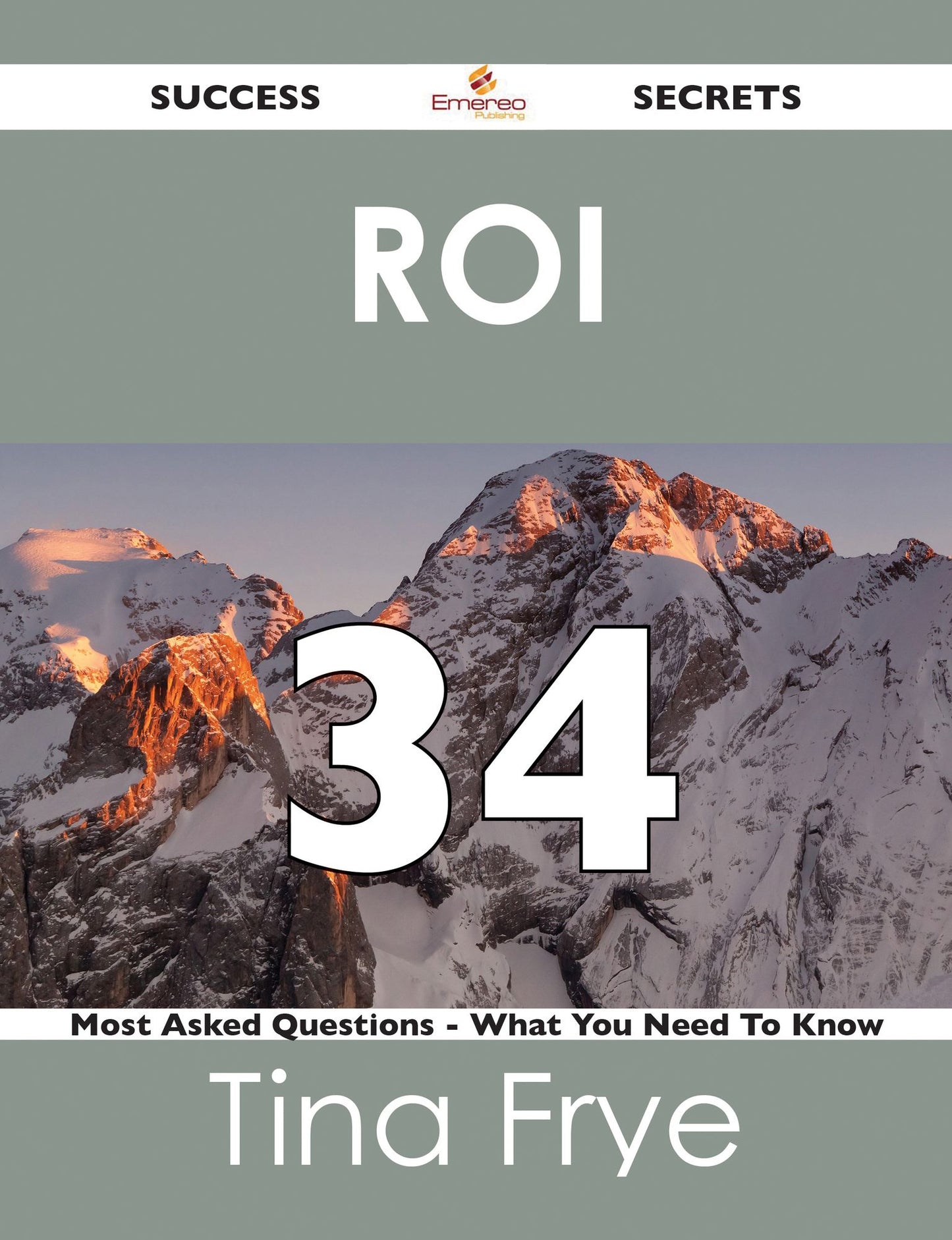 ROI 34 Success Secrets - 34 Most Asked Questions On ROI - What You Need To Know