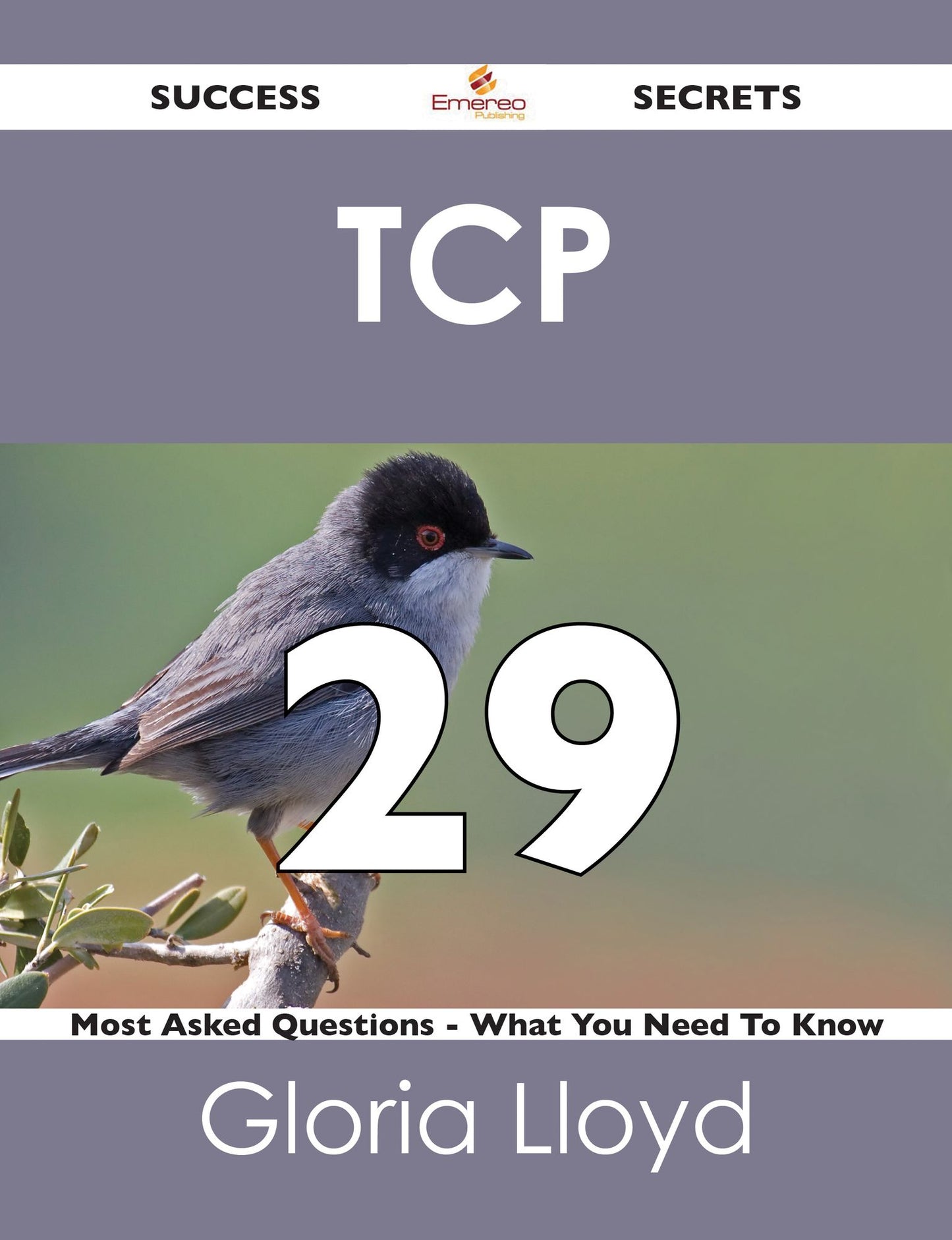 TCP 29 Success Secrets - 29 Most Asked Questions On TCP - What You Need To Know